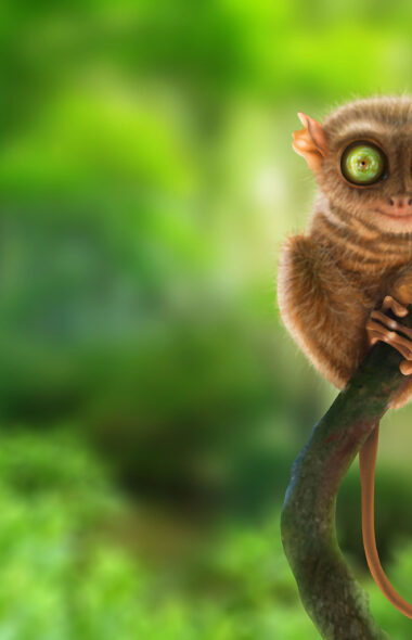 King Julien